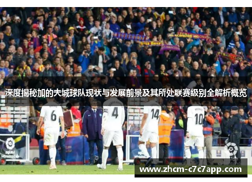 深度揭秘加的夫城球队现状与发展前景及其所处联赛级别全解析概览