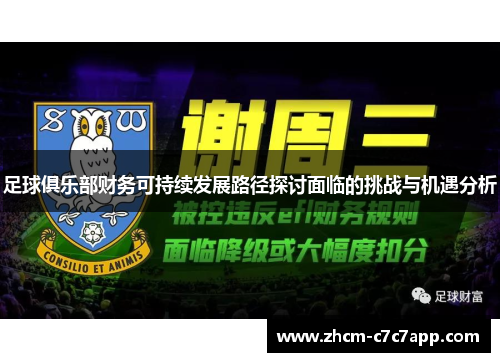 足球俱乐部财务可持续发展路径探讨面临的挑战与机遇分析 足球俱乐部财务可持续发展路径探讨面临的挑战与机遇分析